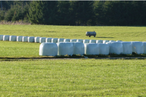square bale silage wrap	